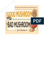 Good Mushroom Bad Mushroom 2