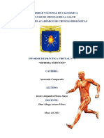 Practica Sobre Sistema Nervioso - Anatomía Comparada