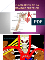 Vascularizaciondelaextremidadsuperior