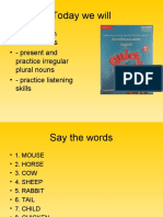 Today We Will: - Review Farm Animal Words - Present and Practice Irregular Plural Nouns - Practice Listening Skills