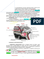 sistem endocrin-curs Bors