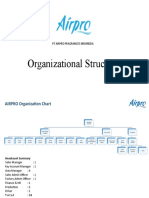 Organizational Structure: PT Airpro Fragrances Indonesia