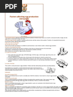 Factors Affecting Chicken Eggs Production - South Africa Department of Agriculture