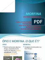 MORFINA Slide