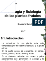 Morfología y fisiología de las plantas frutales