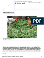 Farm Generated Feed: Chicken Feed Production: An Issue 28.pdf 8e32 4a5b 94db 87ab667dd17c/download)