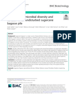 A Snapshot of Microbial Diversity and Function in An Undisturbed Sugarcane Bagasse Pile