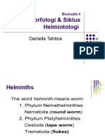 Morfologi & Siklus Helmintologi: Danielle Tahitoe