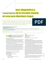 2013; Case report diagnosis and treatment of maxillary sinusitis in an Aberdeen Angus cow.en.es