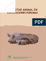 Bienestar Animal Porcino - Todos Revisar (1)