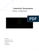 PROJECT 368-Productivity Measurement (Fatima Khalid& Rehan Allaudin)