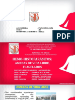 PPT. Clase 6. Hemohistopárasitos - AVL y TV