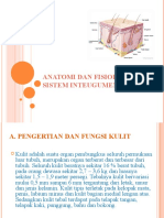 Struktur Dan Fungsi Kulit