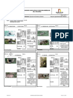 Inventario Drenajes Transversales