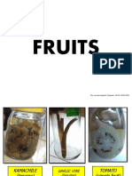 Fruits: Ma. Lourdes Angela V. Briguela - 1B-PH - 2014-2015