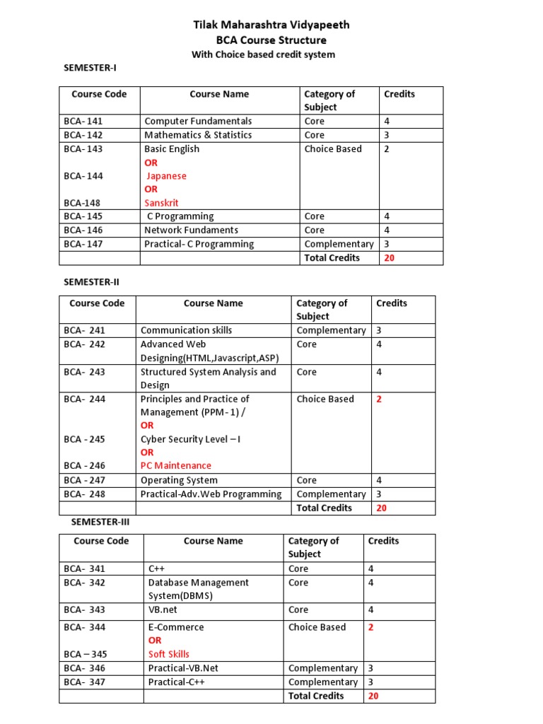 BCA Course Structure Overview | PDF | Computer Science | Information Age