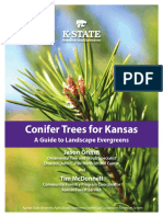 Conifer Trees For Kansas: A Guide To Landscape Evergreens Jason Griffin