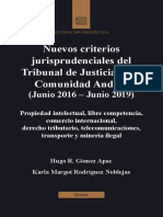 Nuevos Criterios Jurisprudenciales de La Comunidad Andina
