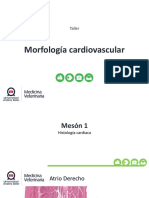 Laboraorio 7 - Cardiovascular I