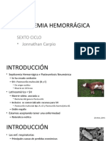 Septicemia hemorrágica: factores de virulencia y respuesta inmune