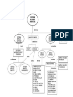 Esquema Sistema Nervios