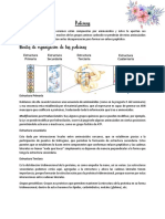 Bioquimica - Generalidades Proteínas