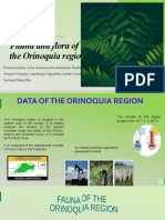 Fauna and Flora of The Orinoquia Region
