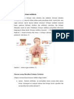 biomed topik 5_ organ dan fungsi sistem endokrin