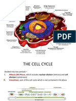 Slides A (Cells&Types)