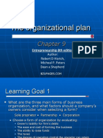 The Organizational Plan The Organizational Plan