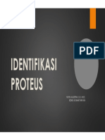 Identifikasi Proteus dan Ciri-Ciri Umum