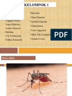 Kelompok 1 Malaria