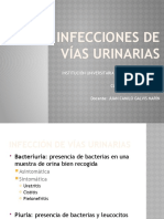 Infecciones de Vias Urinarias