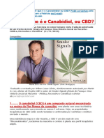 13 Carta Cannabis O QUE É CANABIDIOL Abril de 2020