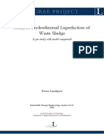 Catalytic Hydrothermal Liquefaction of Sewage Sludge