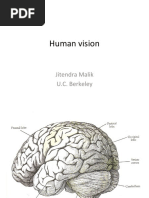 Human Vision: Jitendra Malik U.C. Berkeley