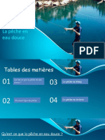 Modele Powerpoint Peche Libre