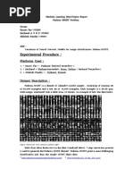 Machine Learning Mini-Project Report