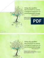 NDVI ASSESMENT2