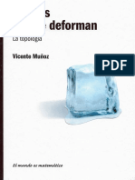 Formas Que Se Deforman - Vicente Muñoz