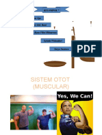 Sistem Otot-Dikonversi