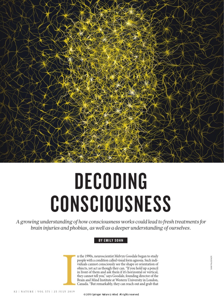 Consciousness Neurosciences | PDF | Consciousness | Functional Magnetic ...