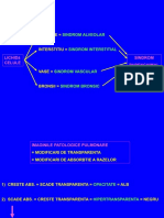 CURS 4 Sindroame AIP