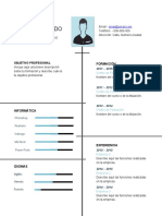 Plantilla Curriculum Vitae 1