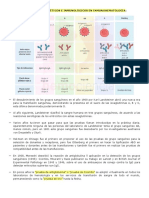 Fundamentos Genéticos