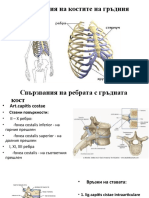 свързания на гръдния кош