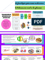 Practica Pancreas Endocrino-3 Laminas