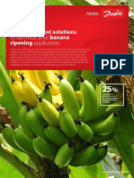 Danfoss Ripening Banana