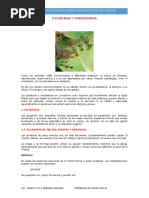 Picaduras y Mordeduras