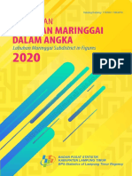 Kecamatan Labuhan Maringgai Dalam Angka 2020